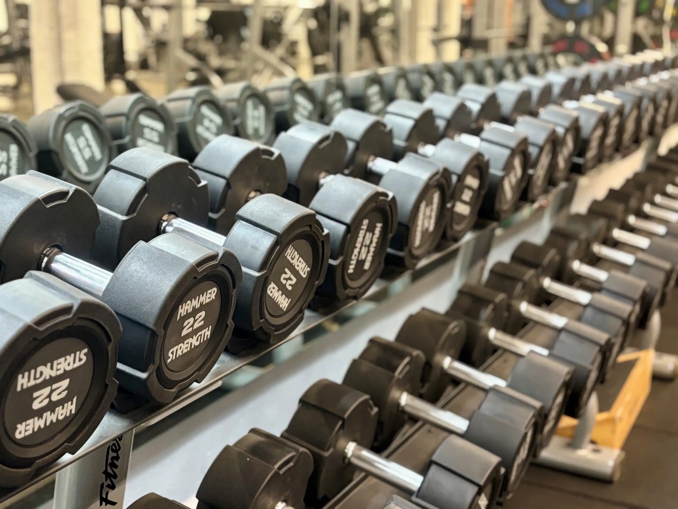 Hammer Strength free weights zone at Sorrento Gym - Integrated strength training area with premium equipment